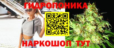 прущие грибы Кулебаки