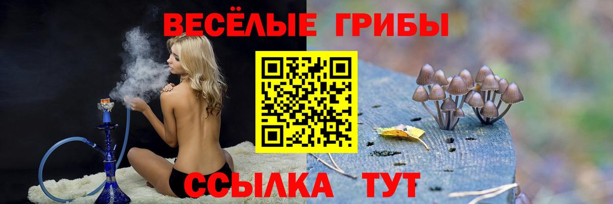 Галлюциногенные грибы мухоморы  Вход с VPN  Великий Новгород  Псилоцибиновые грибы Psilocybine cubensis 